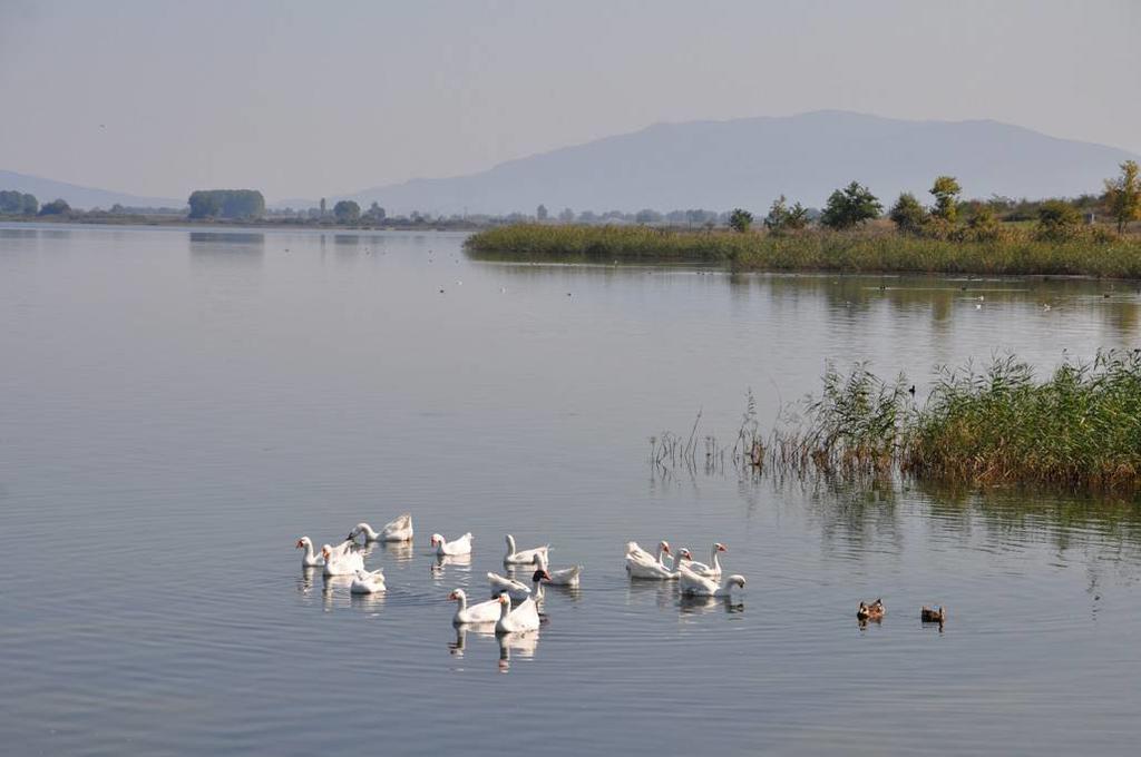 Philoxenia Beach Nea Vrasna Luaran gambar